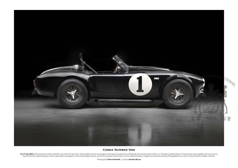 Shelby V8 Cobra print