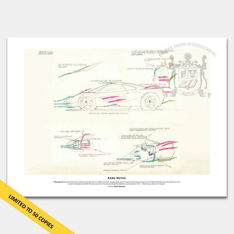 Wind-tunnel print McLaren