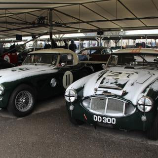 Goodwood Members' Meeting. Different it certainly was!