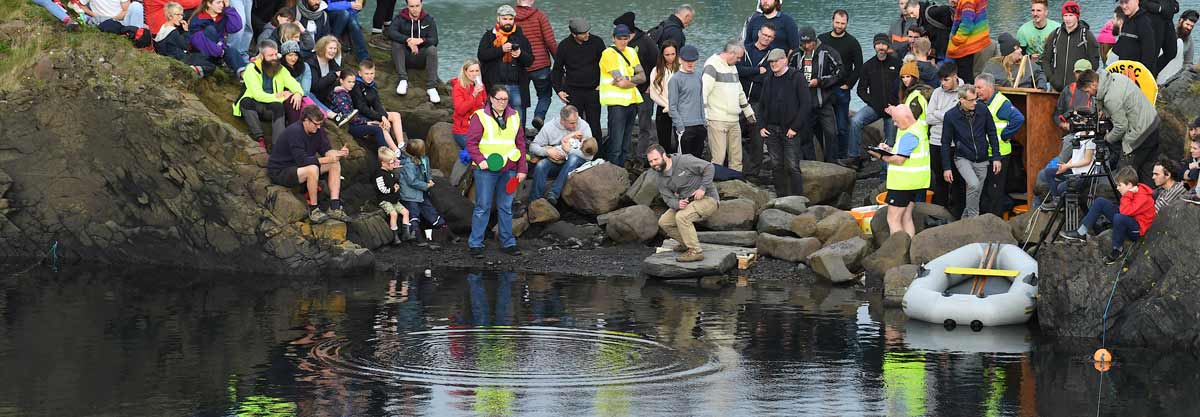 Surface to Air to Surface Missile