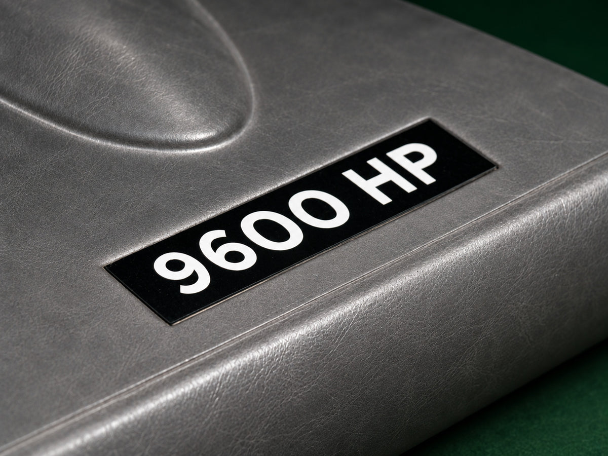 9600 HP - The Story of the World's Oldest E-type (Unique Edition)