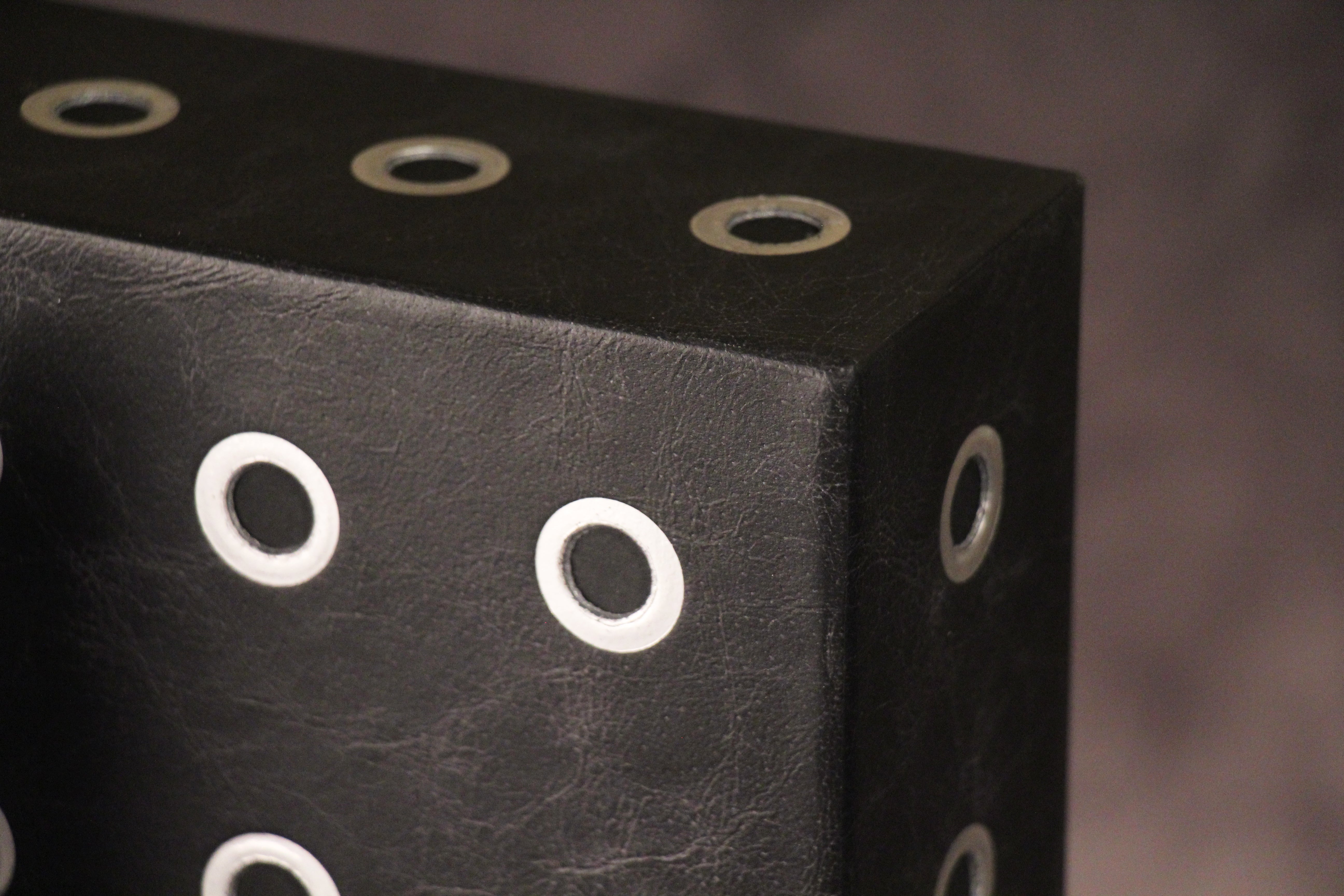 Ford GT40 Volume 2 Owner's Edition slipcase detail