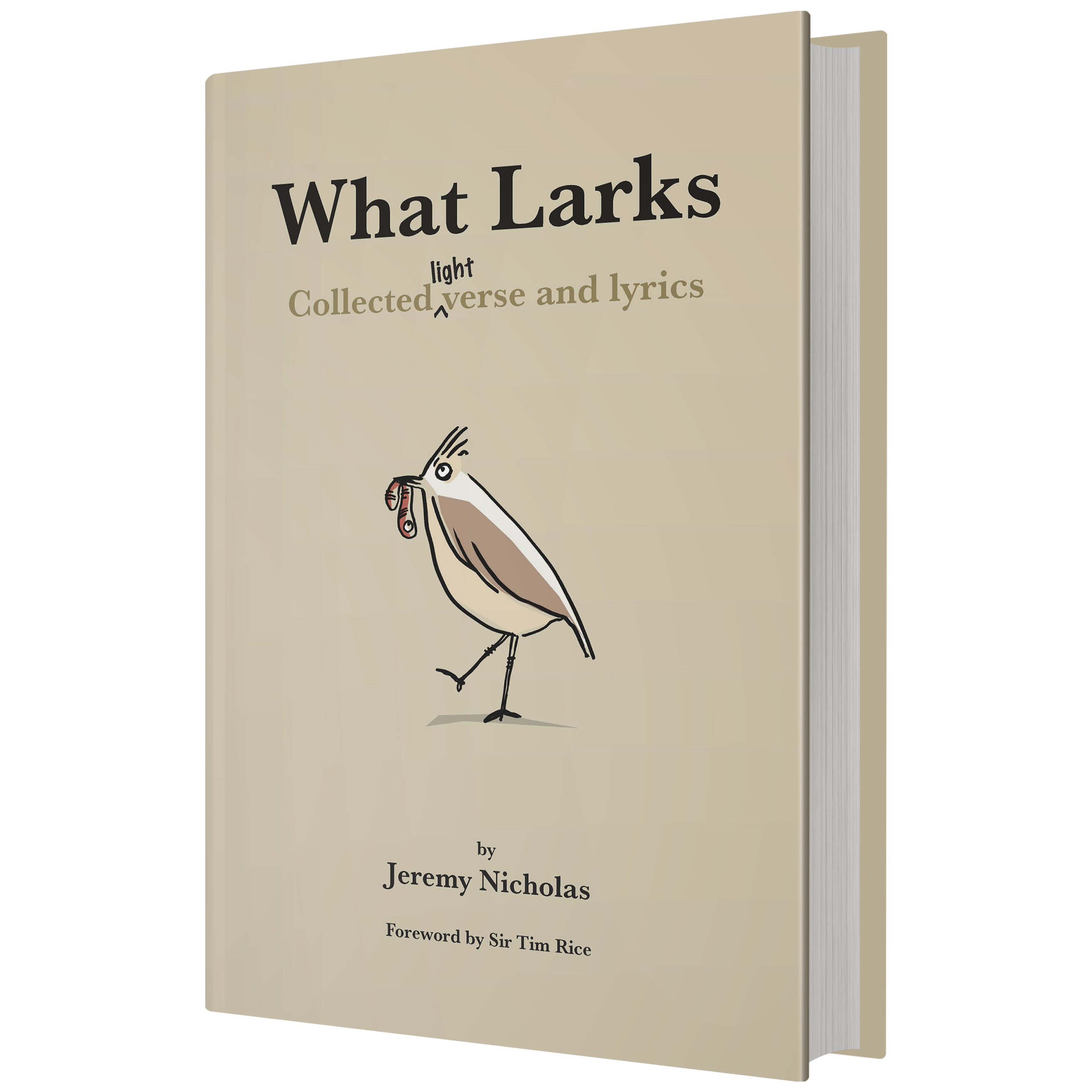 Lyrics and poetry book