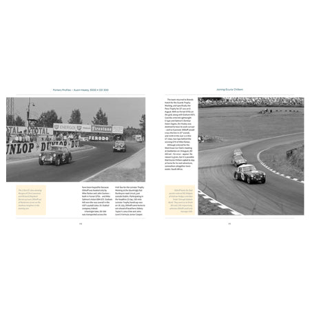 Classic Austin Healey