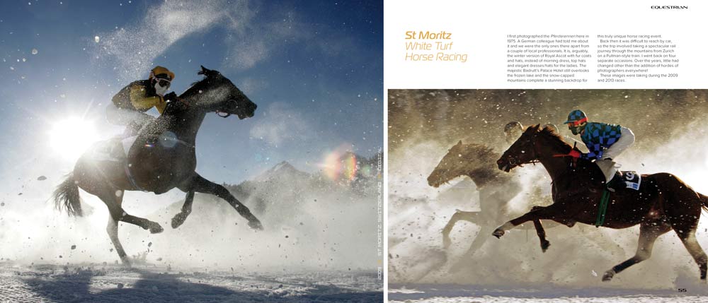 White turf horse racing